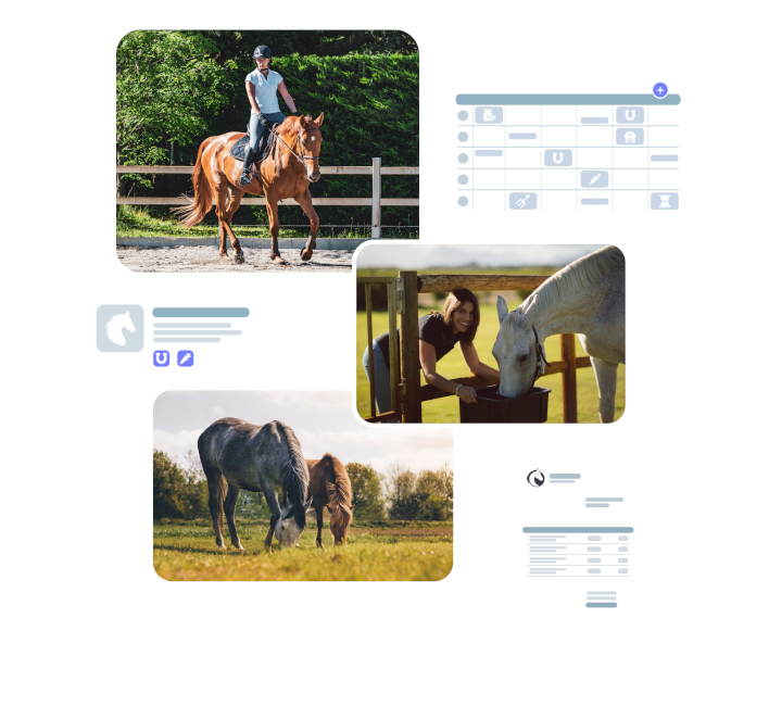 Un logiciel de gestion et facturation pour écurie de propriétaire